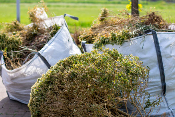Best Dumpster Rental Services  in Birchwood Lakes, PA